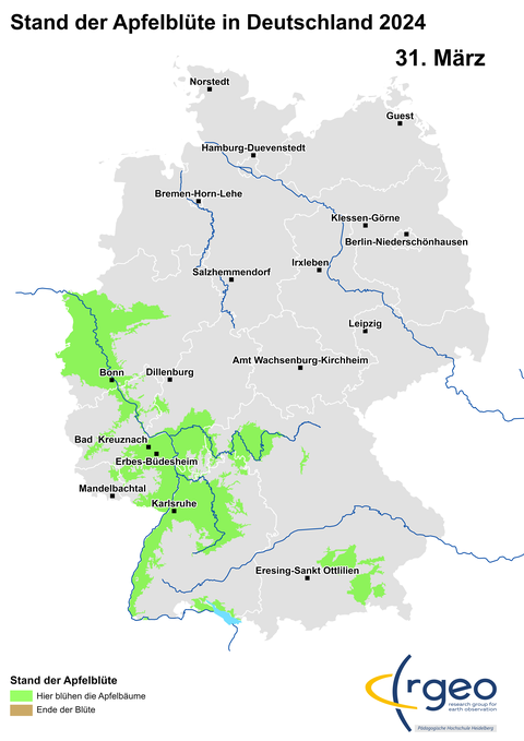 Apfelblüten-Landkarte für den 31. März 2024