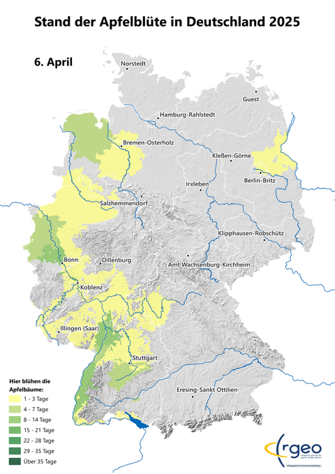 Auf Grundlage der eingegangenen Daten berechnete Ausbreitung der Apfelblüte in Deutschland am 6. April 2025