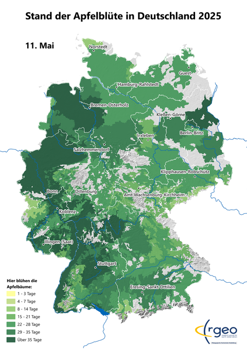 Landkarte der berechneten Ausbreitung der Apfelblüte in Deutschland am 11. Mai 2025