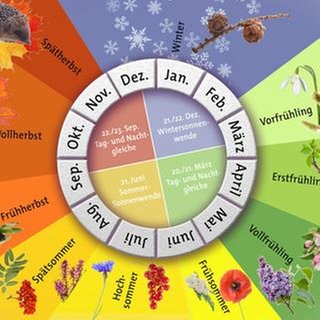 Phänologischer Kalender, tags: Jahreszeiten zehn erstfrühling