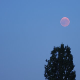 Blutmond am Himmel