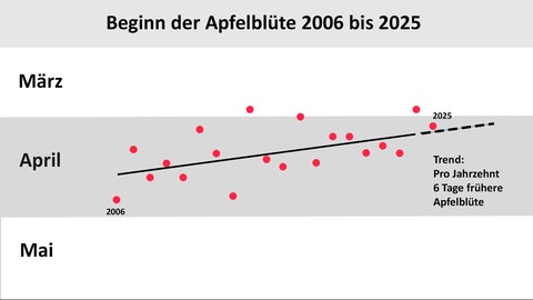 Das Diagramm zeigt die Zeitpunkte des Beginns der Hauptblühzeit der Apfelbäume in Deutschland in den vergangenen 20 Jahren. Eine Ausgleichsgerade zeigt die Verfrühung von rund 6 Tage pro Jahrzehnt. 