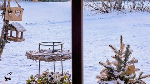 Der Blick von Karin Bergers Wohnung auf den verschneiten Garten. 