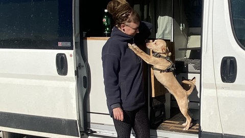 Amy und ihre Hündin leben im Van