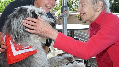 Hundebesuchsdiesnt bei einer älteren Dame vom Malteser Hilfsdienst e.V.