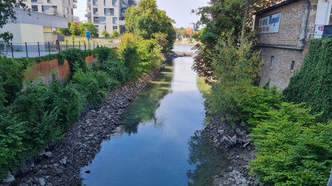 Donau in Neu-Ulm Bild: Andrea Wieland