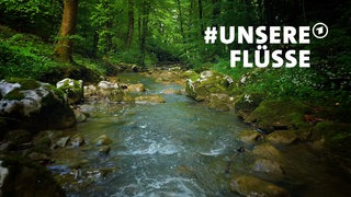 Key Visual der ARD-Mitmachaktion #unsereFlüsse: Ein fließender Bach im Wald