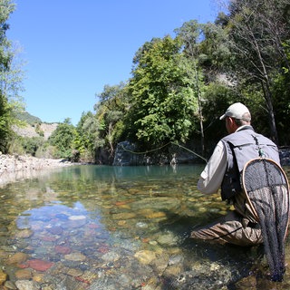 Ein Angeler steht in einem Bach