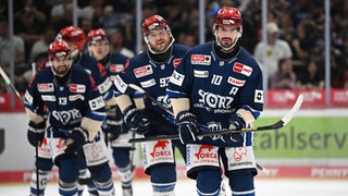 Die Schwenninger Wild Wings vor der neuen Saison 