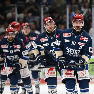 Die Schwenninger Wild Wings vor der neuen Saison 