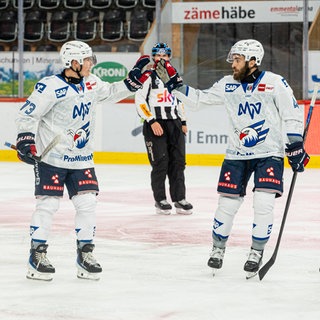 Die Adler Mannheim vor dem Saisonstart