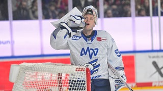 Torhüter Maxi Franzreb von den Adlern Mannheim 