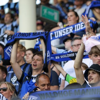 Fans des SV Waldhof Mannheim beim Testspiel.