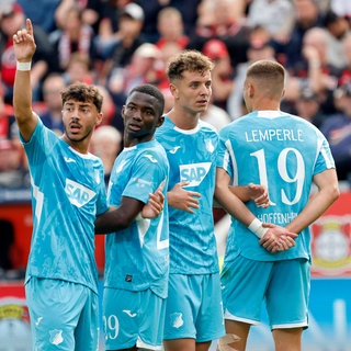 Die TSG Hoffenheim-Spieler jubeln nach einem Tor zusammen auf dem Rasen. 