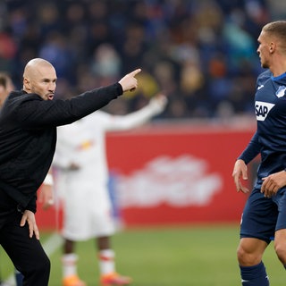 Christian Ilzer, Hoffenheim