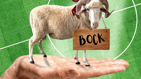 Eine Hand trägt einen Schafsbock mit einem Schild um den Hals, auf dem "Bock" steht, über einem Fußballfeld.