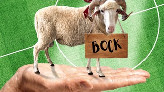 Eine Hand trägt einen Schafsbock mit einem Schild um den Hals, auf dem "Bock" steht, über einem Fußballfeld.