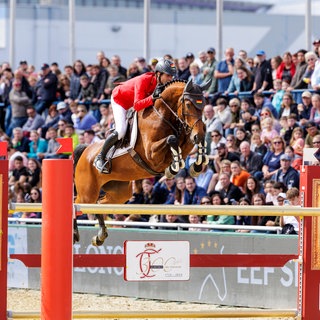 Springreiter Christian Kukuk auf Just be Gentle im Nationenpreis 2024 beim Mannheimer Maimarkt-Turnier. 