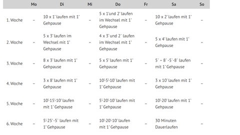 Trainingsplan nach Dieter Baumann