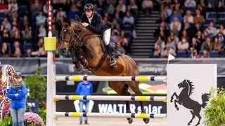 Springreiter Richard Vogel auf seinem Hengst United Touch bei den German Masters: Nach 2022 haben sie auch 2024 den Großen Preis von Stuttgart gewonnen.