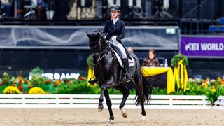 Dressurreiterin Valerie del Rio Pfeffer auf Wallach Braveheart bei den Stuttgart German Masters.
