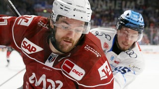 Kris Bennett (Adler Mannheim) im Duell mit Philipp Preto (ERC Ingolstadt).