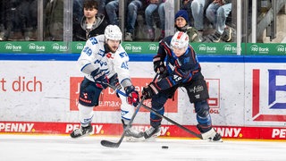 Nürnberg Ice Tigers gegen Adler Mannheim 