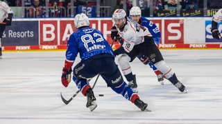Adler Mannheim gegen Nürnberg Ice Tigers
