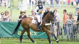 Michael Jung auf Sam