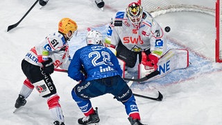 Adler Mannheim gegen Fischtown Pinguins