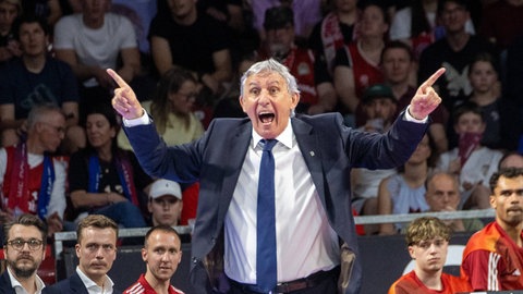 Der Trainer der Basketballer von Bayern München, Svetislav Pesic, trifft im Duell mit Trier auf den jüngsten der Liga, Jacques Schneider