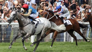 Holguin mit Faleh Bughenaim gewinnt die 156. Goldene Peitsche