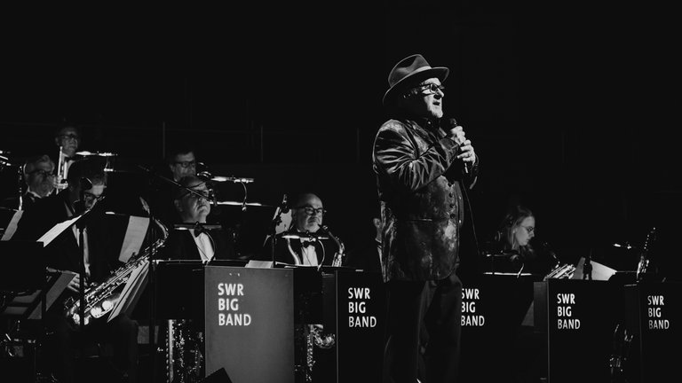 Bildergalerie Paul Carrack - Düsseldorf