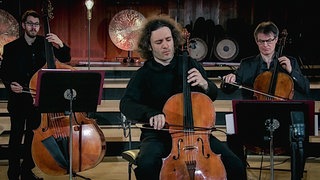 Nicolas Altstaedt spielt mit Mitgliedern des SWR Symphonieorchesters