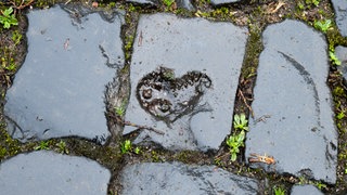 Liebeskummer | SWR1 Redakteurin und Paartherapeutin Sabine Hub | Liebeskummer überwinden: Das kann Ihnen bei Liebeskummer helfen