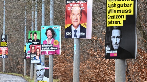 Wahlplakate hängen an der Straße