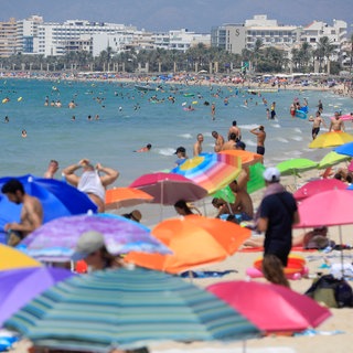 Zahlreiche Menschen genießen einen Sommertag am Strand Cala Major. 