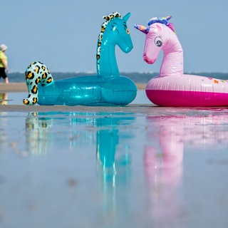 Gummitiere im Wasser