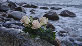 Rosen liegen im Wasser