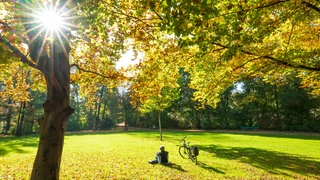 Eine Frau genießt unter bunten Blättern die Sonne im Herbst.