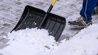 Wieder Debatte um Arbeitspflicht für Bürgergeldempfänger – was bringen solche Projekte?