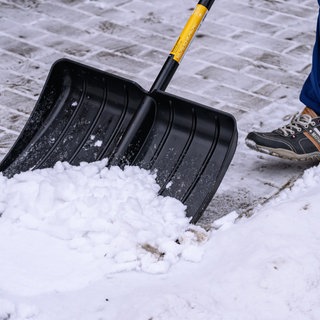 Wieder Debatte um Arbeitspflicht für Bürgergeldempfänger – was bringen solche Projekte?