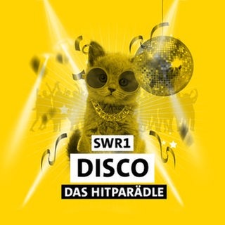 Die Zeichnung eines Kätzchens mit Brille und Discokugel vor gelbem Hintergrund mit Schriftzug "SWR1 Disco - Das Hitparädle"