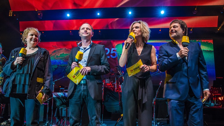 Finale der SWR1 Baden-Württemberg Hitparade 2014