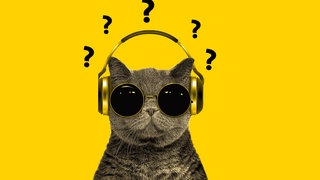 Die Hitparaden-Katze mit Kopfhörer auf gelbem Hintergrund mit vielen Fragezeichen - Die FAQs zur SWR1 BW Hitparade