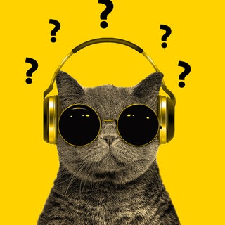 Die Hitparaden-Katze mit Kopfhörer auf gelbem Hintergrund mit vielen Fragezeichen - Die FAQs zur SWR1 BW Hitparade
