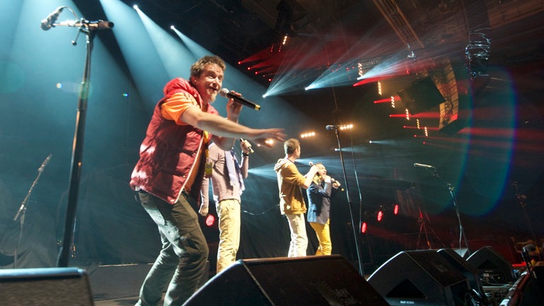 Finale der SWR1 Hitparade 2015 - Die Füenf