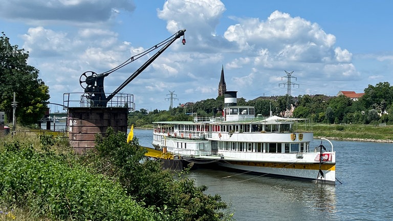 Das Mannheimer Museumsschiff liegt bei Sonnenschein und blauem Himmel im Wasser.