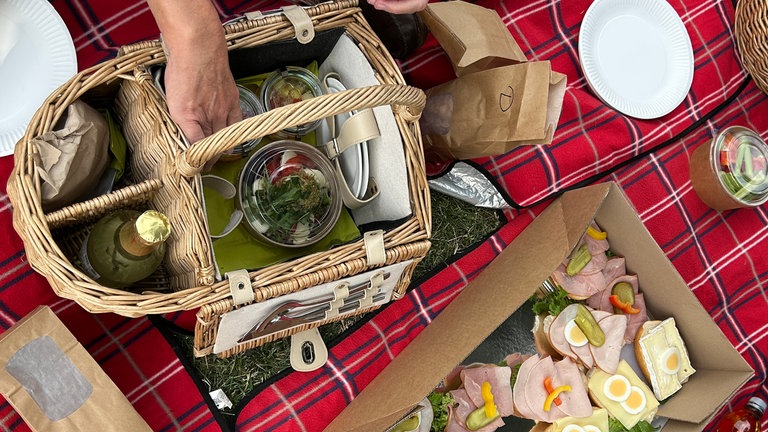 Der perfekte Tag mit SWR1 am Mannheimer Hafen. 