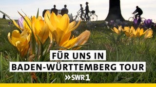 Die SWR1 "Für uns in Baden-Württemberg Tour" 2025: Wir kommen mit dem mobilen Studio zu euch! Unsere SWR1 Moderator:innen Stefanie Anhalt und Corvin Tondera-Klein sind in den Osterferien in Donaueschingen, Meersburg, Bad Waldsee, Herbrechtingen, Remseck am Neckar.